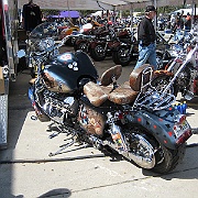 Picture 007